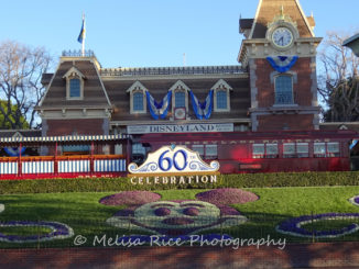 Things for Adults to do at Disneyland. Life in Mouse Years #disneyland #california #vacation #mainstreetusa