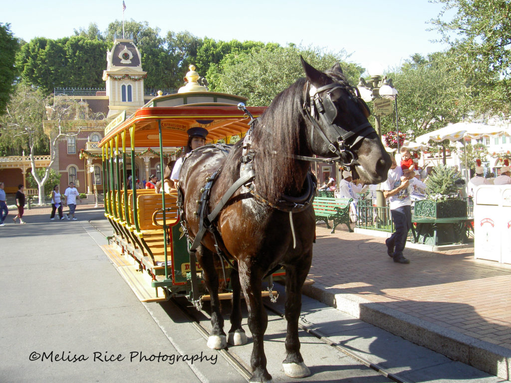 Things for Adults to do at Disneyland. Life in Mouse Years #disneyland #california #vacation #mainstreetusa