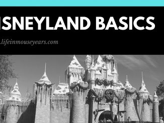 Disneyland Basics www.lifeinmouseyears.com #lifeinmouseyears #disneyland