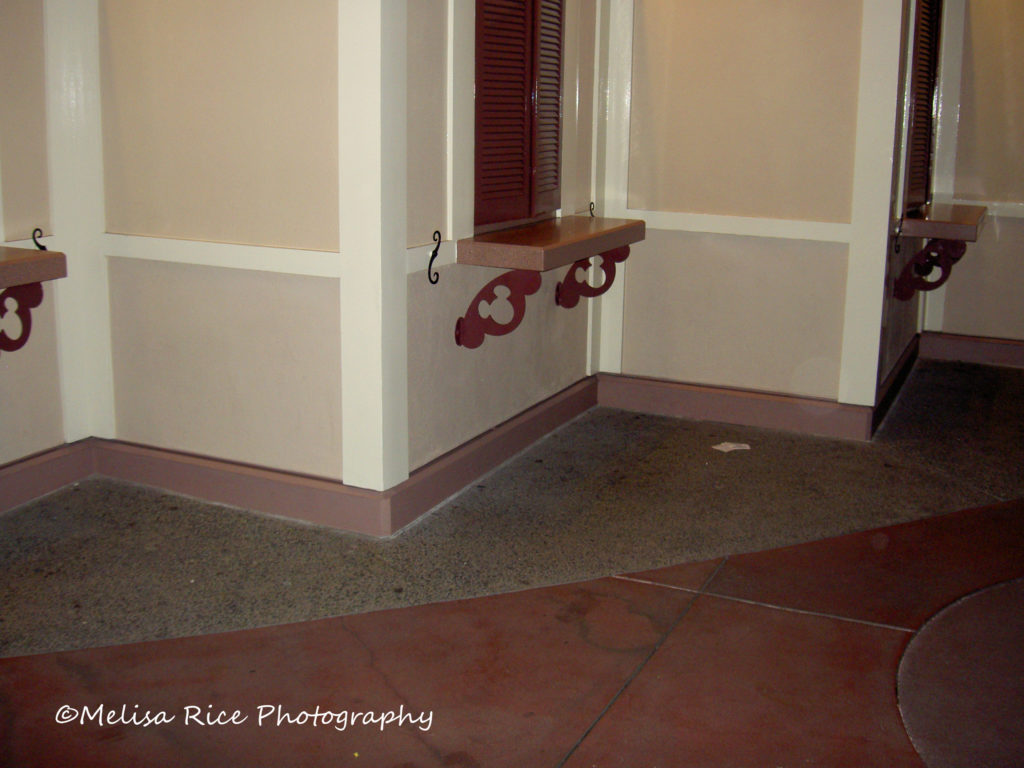 What are Hidden Mickey's at the Disneyland Resort.