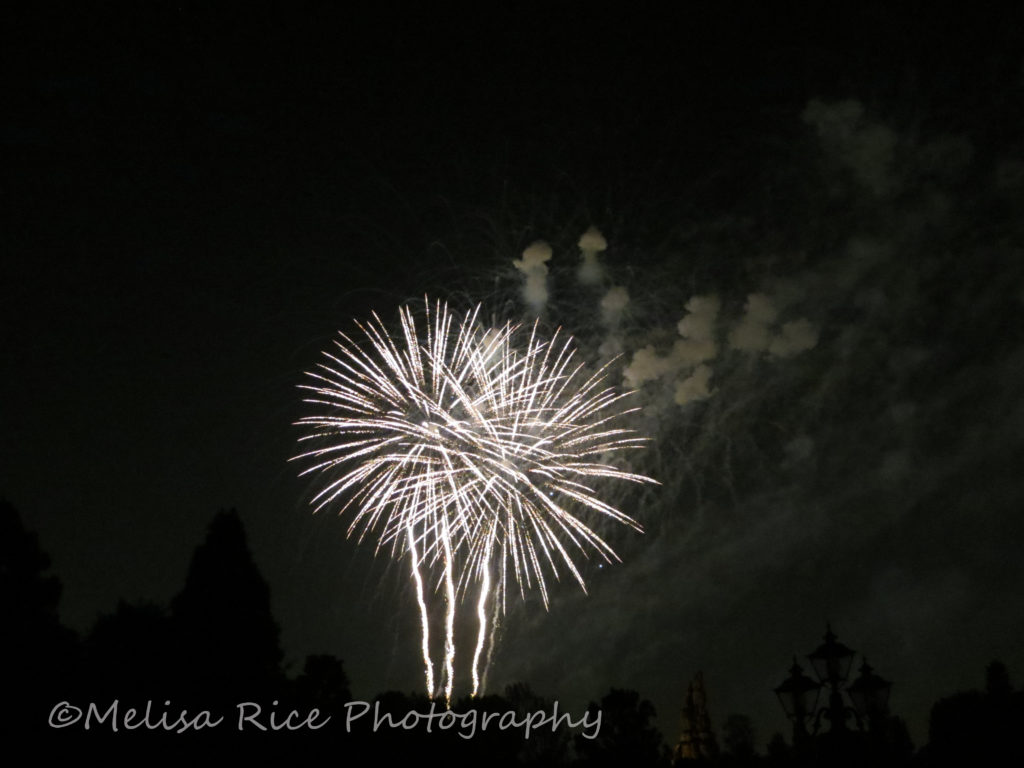 Disneyland After Dark-Top 5 Things to do at Disneyland at Night.