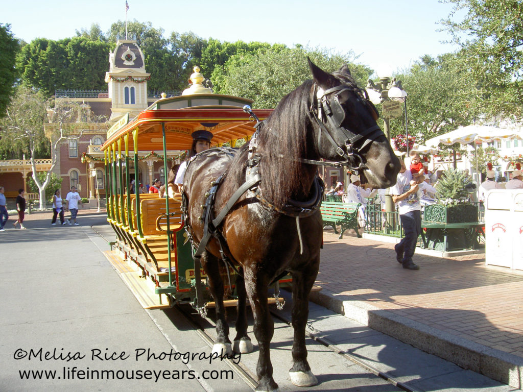 Horse-drawn carriage Disneyland Main Street Modes of Transportation