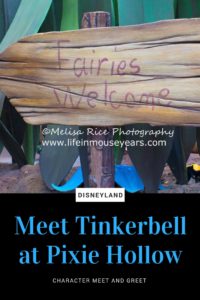 Meet Tinkerbell at Pixie Hollow in Disneyland www.lifeinmouseyears.com #tinkerbell #disneyland #disneyfairies