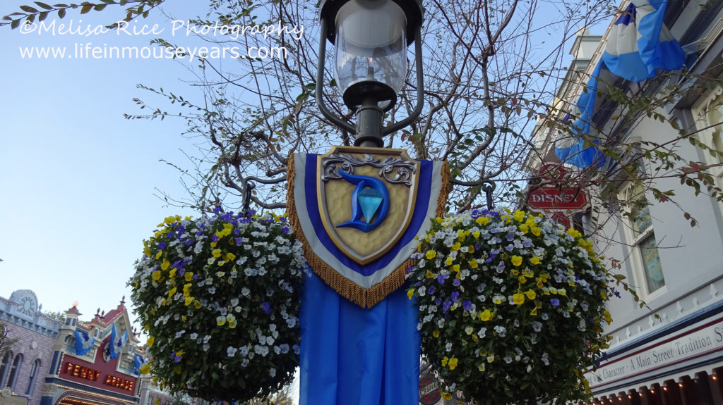 60th celebration hanging flower baskets.