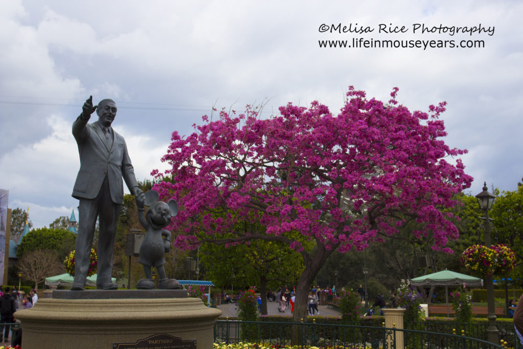 Partners statue in late February with the cherry blossom trees.