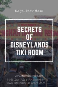 Secrets of Disneylands Tiki Room