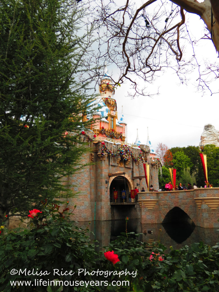 Sleeping Beauty's Castle with roses.