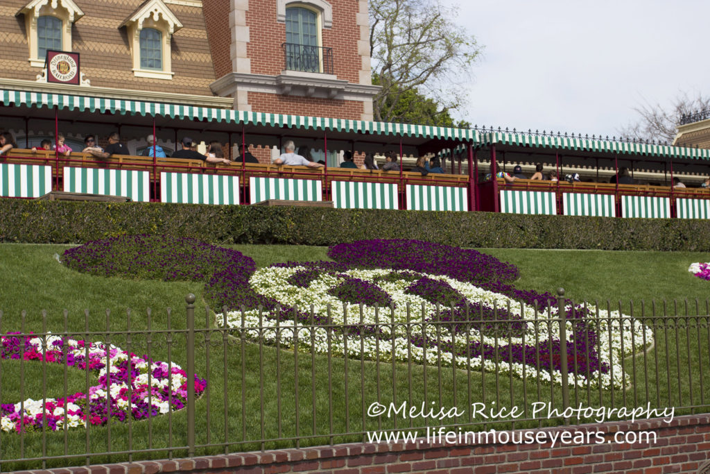 Floral Mickey from the entrance to Disneyland.