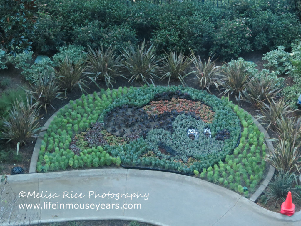 The finished product of the floral Frontier Mickey at the Disneyland Hotel.