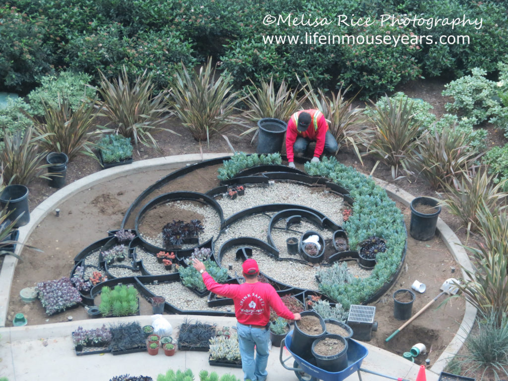 The Floral Mickey at the Disneyland Hotel.