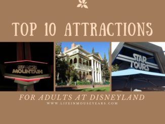 Top 10 Attractions for Adults at Disneyland.