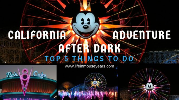Top 5 Things to Do-California Adventure After Dark