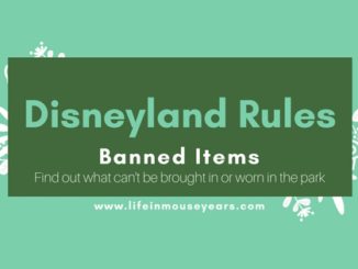 Disneyland Rules-Banned Items