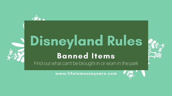 Disneyland Rules-Banned Items