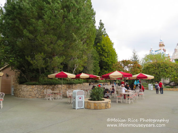 Once Upon a TimeCarnation Plaza Gardens Life in Mouse Years