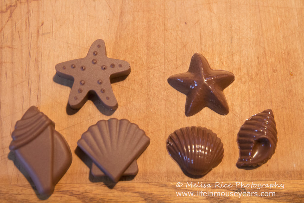 Seashell Chocolates Moana Party