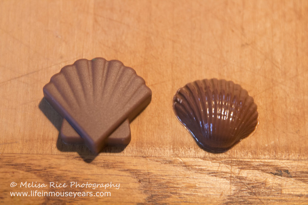 Seashell Chocolates Moana Party