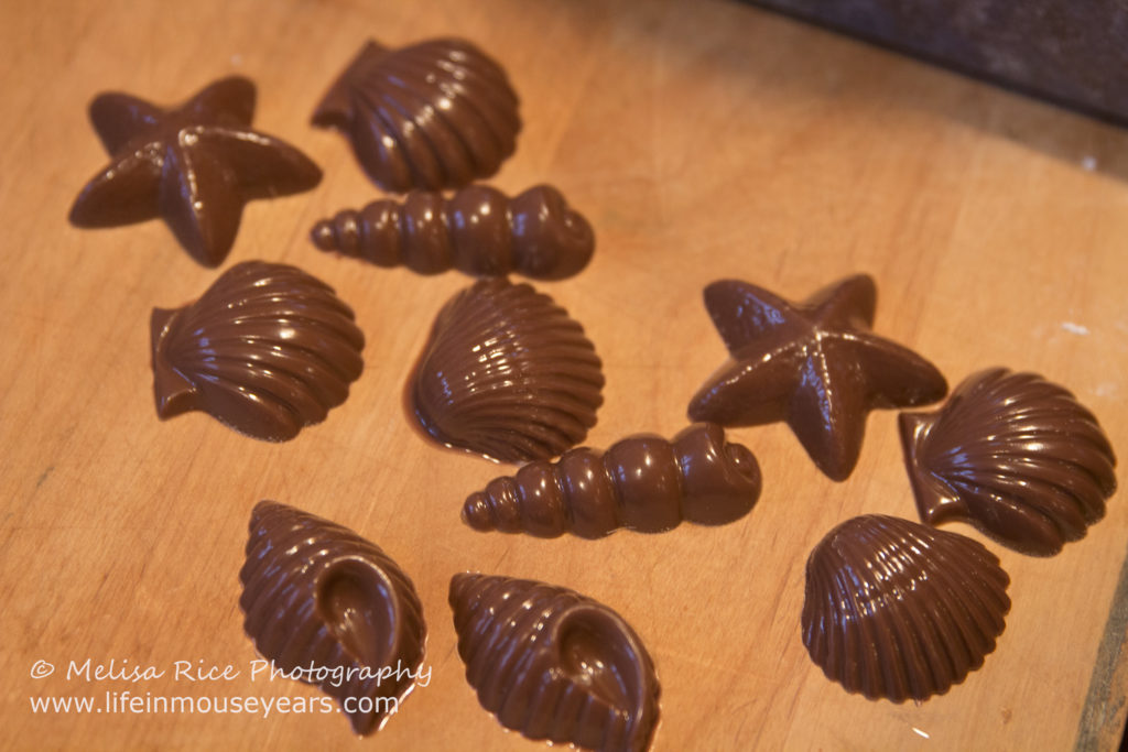 Seashell Chocolates Moana Party