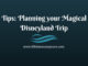 Tips: Planning your Magical Disneyland Trip