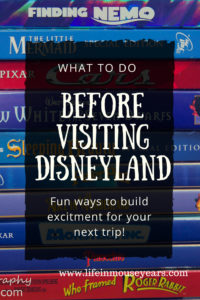What to do Months Before Visiting Disneyland