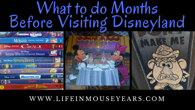 What to do Months before visiting Disneyland