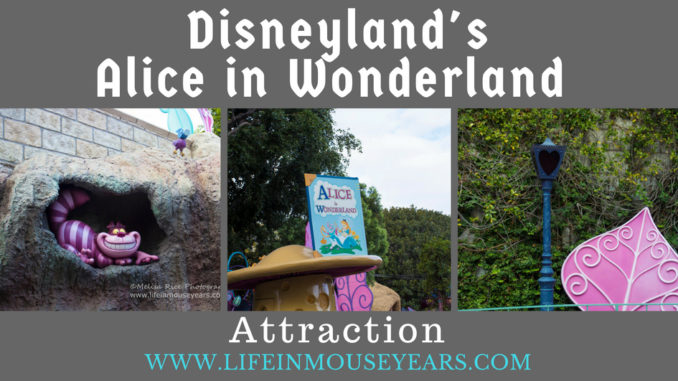 Disneyland's Alice in Wonderland Attraction