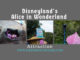 Disneyland's Alice in Wonderland Attraction