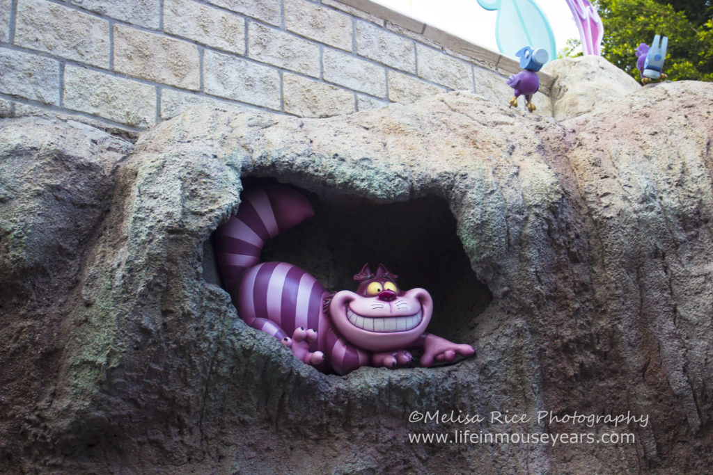 Alice in Wonderland Attraction