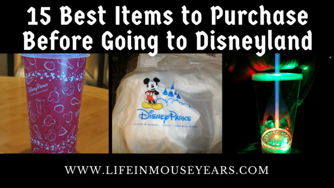15 Best Items to Purchase Before Going to Disneyland. www.lifeinmouseyears.com #disneyland #california #buybeforetrip