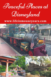 Peaceful Places at Disneyland www.lifeinmouseyears.com #disneyland #peacefulplaces #quietdisneyland #familyvacation #california #disney #disneylandrailroad #pixiehollow #hungrybearrestaurant #tomsawyerisland