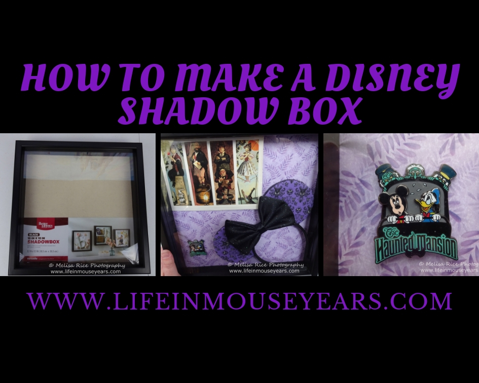 Disney Shadow Box Collage (1) Life in Mouse Years