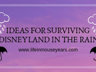 Ideas for Surviving Disneyland in the Rain www.lifeinmouseyears.com #lifeinmouseyears #rainydaydisneyland #disneyparks #california #rainydayideas #disneyland #californiaadventure #littlemermaid