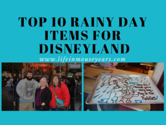 Top 10 Rainy Day Items for Disneyland www.lifeinmouseyears.com #lifeinmouseyears #disneyland #rainydaydisney #california #rainyday #disneyparks #disneylandresort