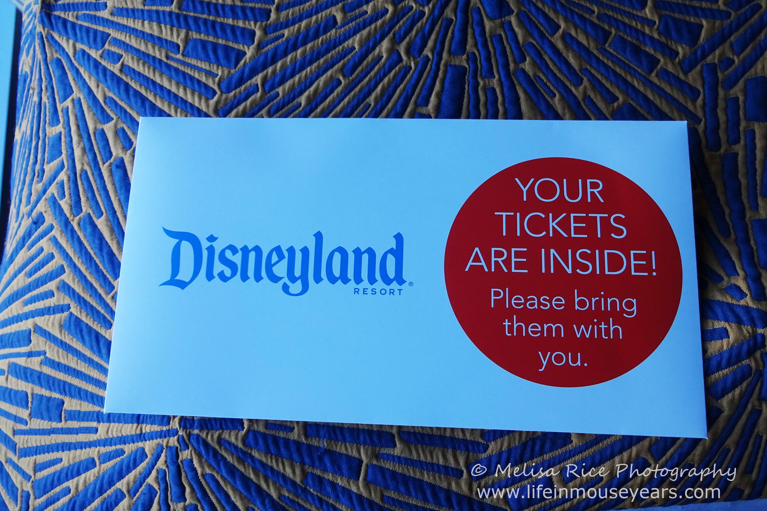 Costco Disneyland Vacation Packages 2020  Life in Mouse Years