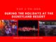 Top 5 To-Dos during the holidays at the Disneyland Resort www.lifeinmouseyears.com #lifeinmouseyears #holidays #disneyland #disneylandresort #disneylandholidayfun #californiaadventure #carsland #holidaycarsland
