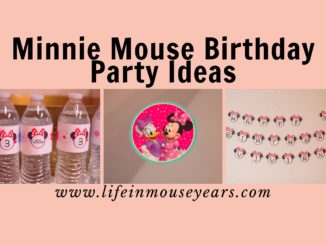 Minnie Mouse Birthday Party Ideas www.lifeinmouseyears.com #lifeinmouseyears #birthdayparty #disney #minniemouse