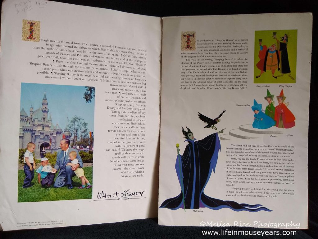 Sleeping Beauty Castle Walkthrough www.lifeinmouseyears.com #lifeinmouseyears #disneyland #sleepingbeautycastle