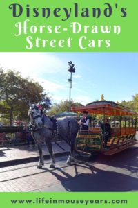 Disneyland Horse-Drawn Street Cars www.lifeinmouseyears.com #lifeinmouseyears #horsedrawnstreetcar #castmembers #disneyattractions #mainstreetusa