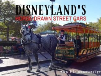 Disneyland Horse-Drawn Street Cars www.lifeinmouseyears.com #lifeinmouseyears #horsedrawnstreetcar #castmembers #disneyattractions #mainstreetusa