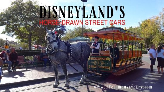 Disneyland Horse-Drawn Street Cars www.lifeinmouseyears.com #lifeinmouseyears #horsedrawnstreetcar #castmembers #disneyattractions #mainstreetusa