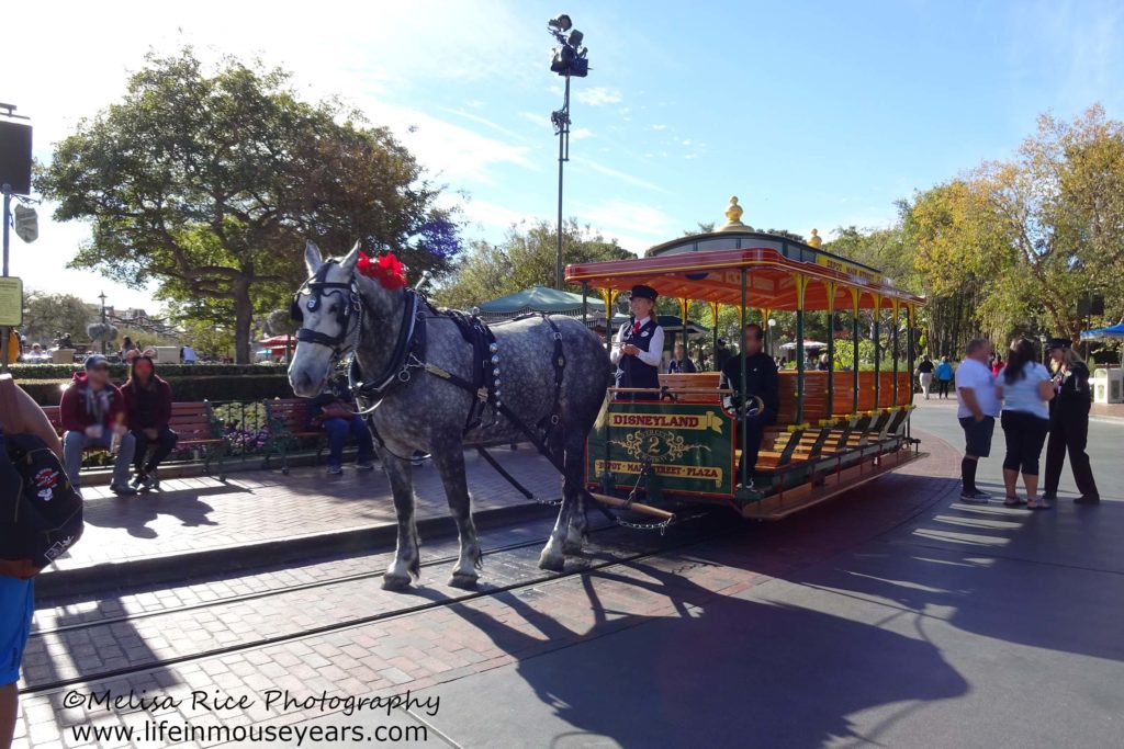 Disneyland Horse-Drawn Street Cars www.lifeinmouseyears.com #lifeinmouseyears #horsedrawnstreetcar #castmembers #disneyattractions #mainstreetusa