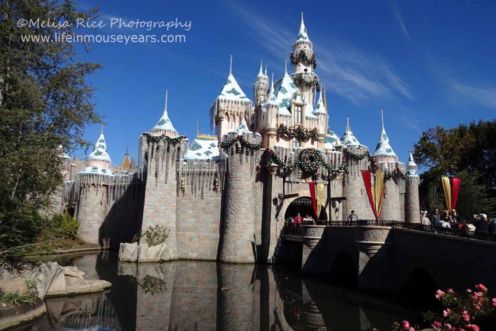 www.lifeinmouseyears.com #lifeinmouseyears #disneyland