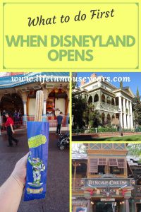 www.lifeinmouseyears #lifeinmouseyears #disneyland