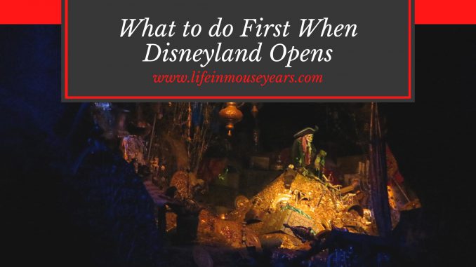 www.lifeinmouseyears #lifeinmouseyears #disneyland