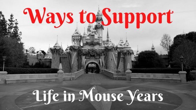 Ways to Support Life in Mouse Years