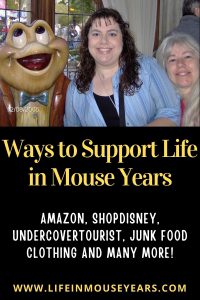 Ways to Support Life in Mouse Years Pin